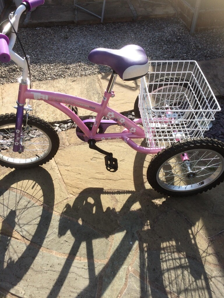tricycle 16 inch wheel